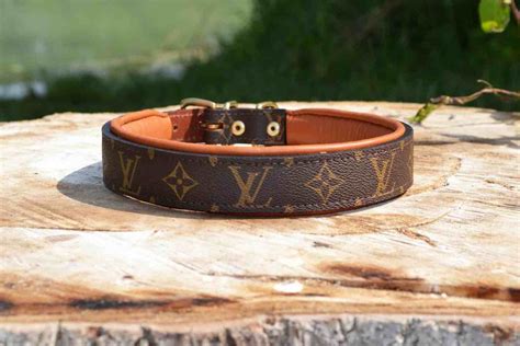 louis vuitton dogs|louis vuitton collar for dog.